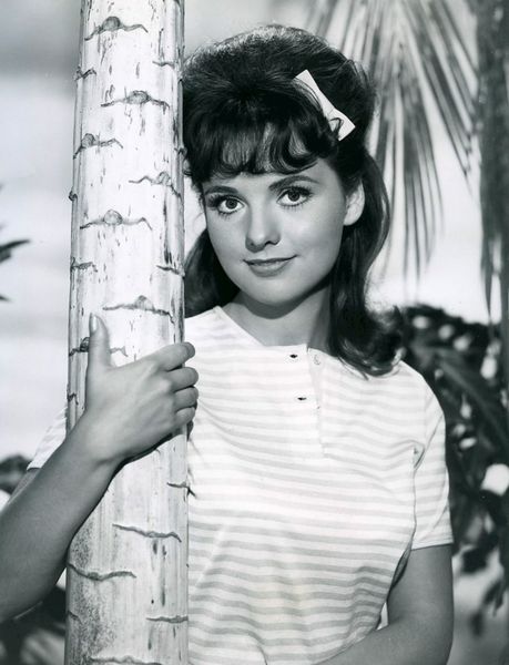 File:Dawn Wells Gilligan's Island 1964.jpg