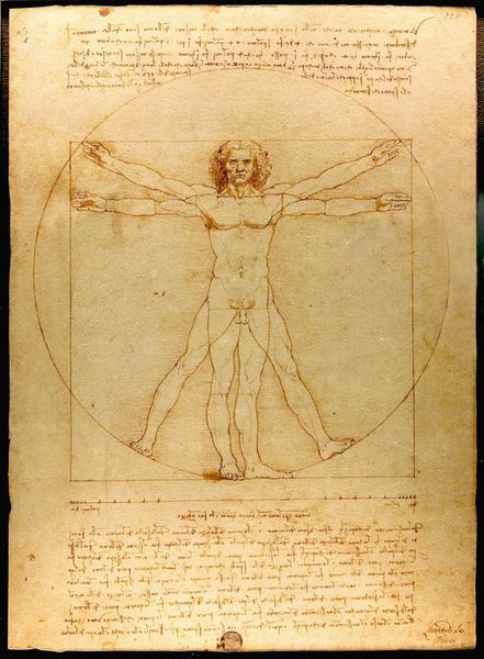 File:Da Vinci Vitruve Luc Viatour.jpg