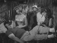 Goodnight Sweet Skipper.jpg