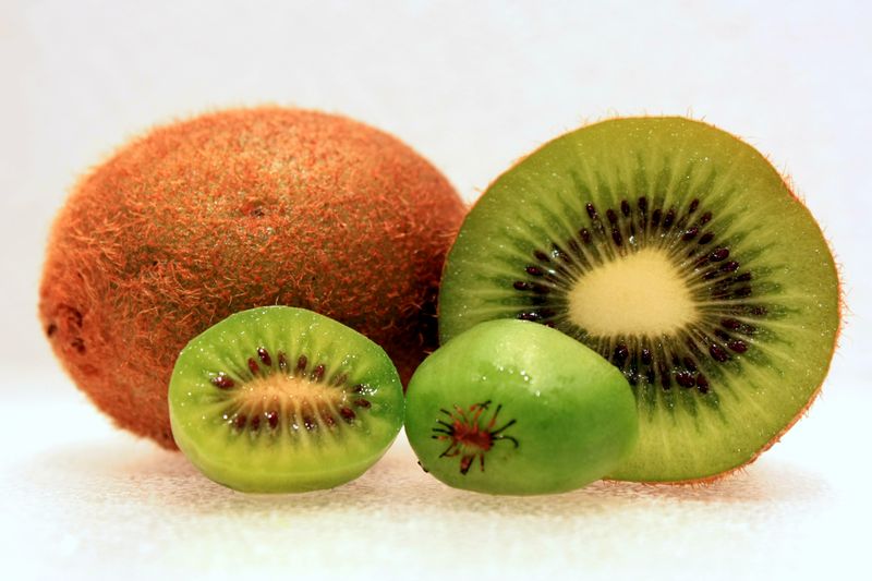 File:Hardy-Kiwi-Comparison-3.jpg