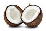 2coconuts.jpg